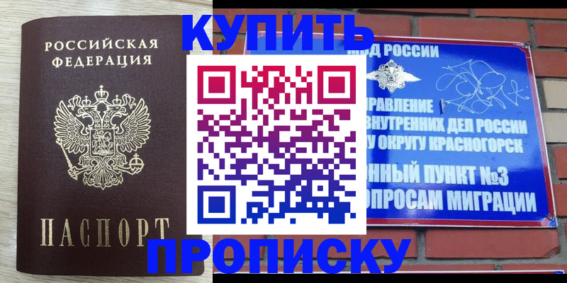прописка гарантия в Сольцах